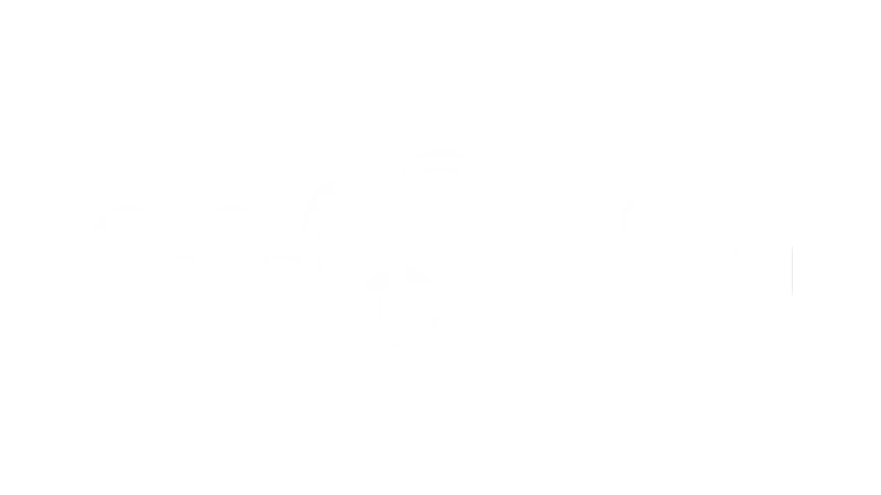 logo n8n white